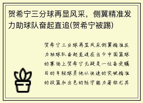 贺希宁三分球再显风采，侧翼精准发力助球队奋起直追(贺希宁被踢)