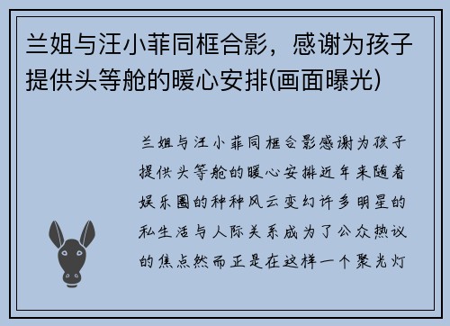 兰姐与汪小菲同框合影，感谢为孩子提供头等舱的暖心安排(画面曝光)