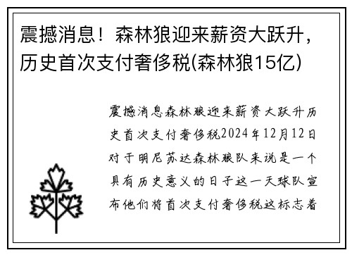 震撼消息！森林狼迎来薪资大跃升，历史首次支付奢侈税(森林狼15亿)