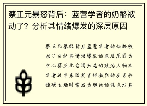 蔡正元暴怒背后：蓝营学者的奶酪被动了？分析其情绪爆发的深层原因